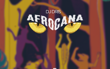 DJ Dris Drops ‘Afrocana’: a Groovy Afro House Production