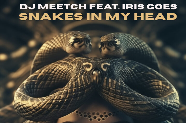 ‘Snakes In My Head’: the Brand-New Production From the Talented DJ and Producer Meetch
